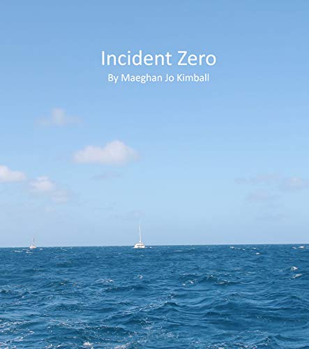 Incident Zero (English Edition)