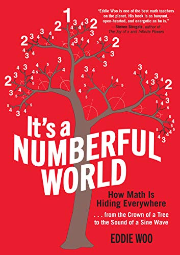 It's a Numberful World: How Math Is Hiding Everywhere (English Edition)