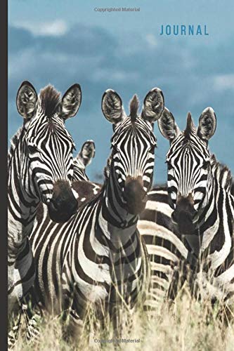Journal: Herd of Zebra Photo Cover / Ruled 6x9 Small Composition Notebook for Writing / Blank Lined Paper Book / Cute Card Alternative / Gift for Journal Lovers and Writers