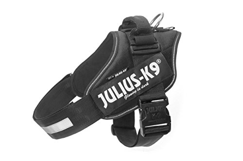 JULIUS-K9 16IDC Power Harness