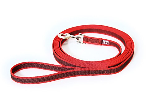 Julius-K9 216GM-R-S3 Color & Gray Correa de Perro del Estupendo-Apretón con Asa, 20 mm x 3 m, Rojo y Gris Julius-K9 216GM-R-S3 Color & Gray Correa de Perro del Estupendo-Apretón con Asa, 20 mm x 3 m, Rojo y Gris