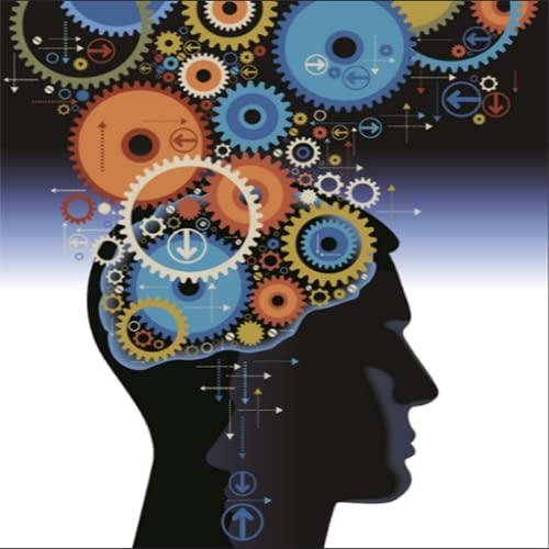 la formación del cerebro - juego de matemáticas la formación del cerebro - juego de matemáticas