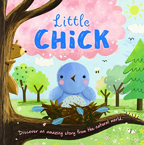 Little Chick (Nature Stories)