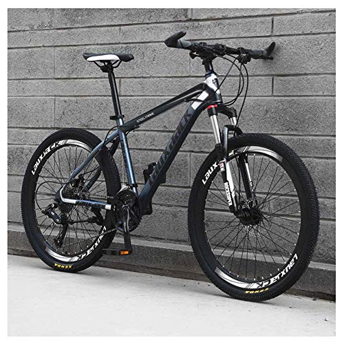LKAIBIN Bicicleta de campo de cross deportes al aire libre para hombre MTB frenos de disco, 26 pulgadas, bicicleta de montaña de 21 velocidades, color gris