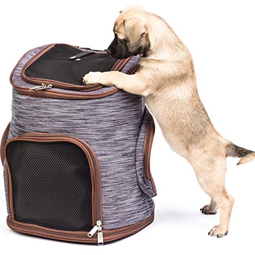 Migosset Bolsa para Mascotas - Mochila Transporte para Perros y Gatos - Transportines de Viaje Resistentes con Ventana de Malla, Cierre, Correas Cintura - Fondo Extraíble para Limpieza - 30x24x41cm Migosset Bolsa para Mascotas - Mochila Transporte para Perros y Gatos - Transportines de Viaje Resistentes con Ventana de Malla, Cierre, Correas Cintura - Fondo Extraíble para Limpieza - 30x24x41cm