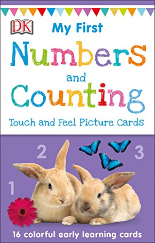 My First Touch and Feel Picture Cards: Numbers and Counting (My 1st Touch & Feel Picture Cards)