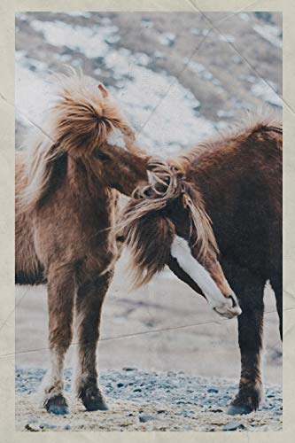 Notebook: Wild Horses in America Charming Composition Book Daily Journal Notepad Diary Vintage Retro Poster style for equine fans