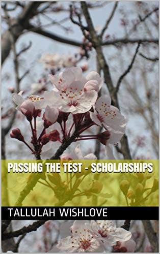 Passing The Test - Scholarships (English Edition)