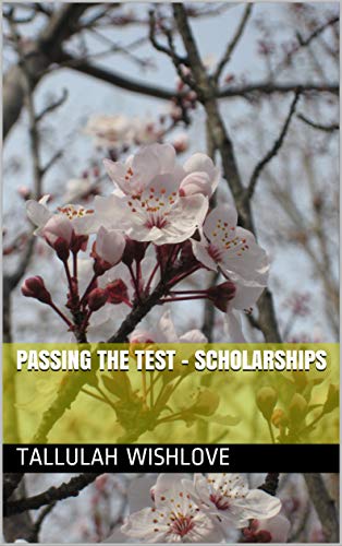 Passing The Test - Scholarships (English Edition) Passing The Test - Scholarships (English Edition)