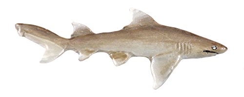 Pintado de ~ ~ tiburón limón Pin de solapa/broche ~ SP124