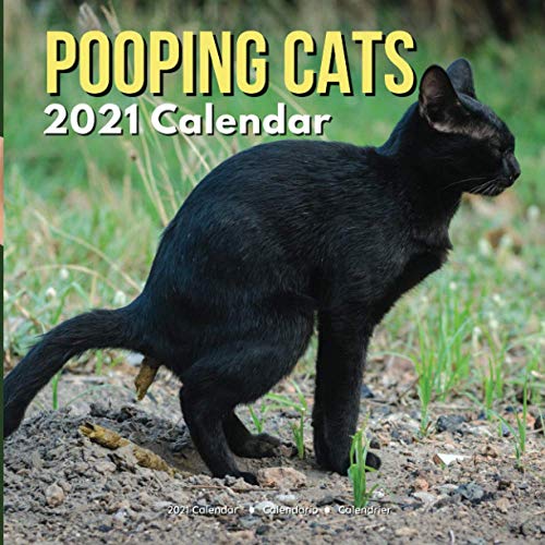 Pooping Cats 2021 Calendar: Funny Animal Gag Joke Presents for Men Kids Women Birthday Christmas Stocking Stuffers Fillers Gifts Pooping Cats 2021 Calendar: Funny Animal Gag Joke Presents for Men Kids Women Birthday Christmas Stocking Stuffers Fillers Gifts