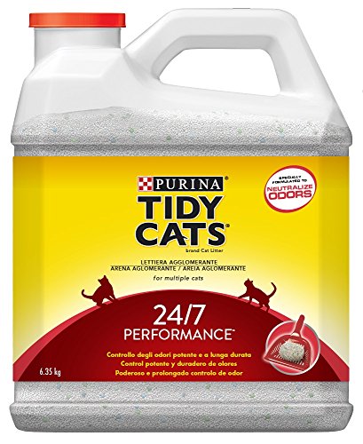 Purina Tidy Cats 24/7 - Arena aglomerante para Gato, perfumada, 6,35 Kg Purina Tidy Cats 24/7 - Arena aglomerante para Gato, perfumada, 6,35 Kg