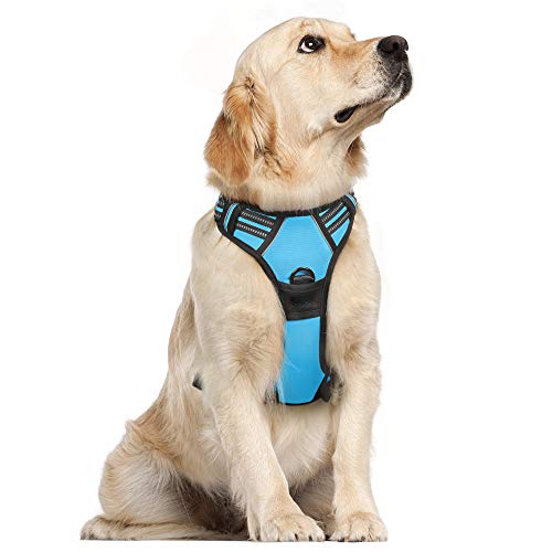 rabbitgoo Arnes Perro Grande Mediano Pequeño Arnés Pecho Antitirones Perros Coche con Lineas Reflectantes Cómodo Transpirable Chaleco Acolchado Ajustable para Adiesreamiento Correr L Azul Ligero rabbitgoo Arnes Perro Grande Mediano Pequeño Arnés Pecho Antitirones Perros Coche con Lineas Reflectantes Cómodo Transpirable Chaleco Acolchado Ajustable para Adiesreamiento Correr L Azul Ligero