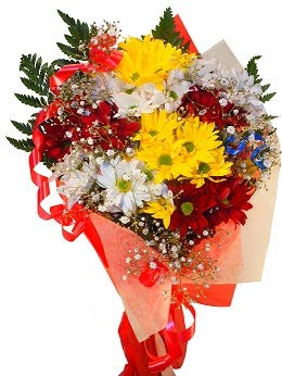 Ramo de flores naturales a domicilio de margaritas con envío y nota dedicatoria incluidos.