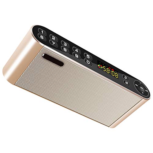 SVNA Altavoz Bluetooth inalámbrico portátil, Altavoz Doble Subwoofer Estación de Radio Radio Hogar al Aire Libre Mini Tarjeta Audio (Color : Gold)