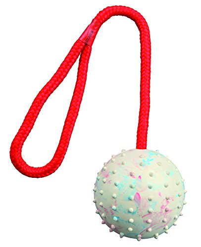 TRIXIE Pelota con Cuerda, Caucho Natural, ø7 cm, 30 cm, Perro TRIXIE Pelota con Cuerda, Caucho Natural, ø7 cm, 30 cm, Perro