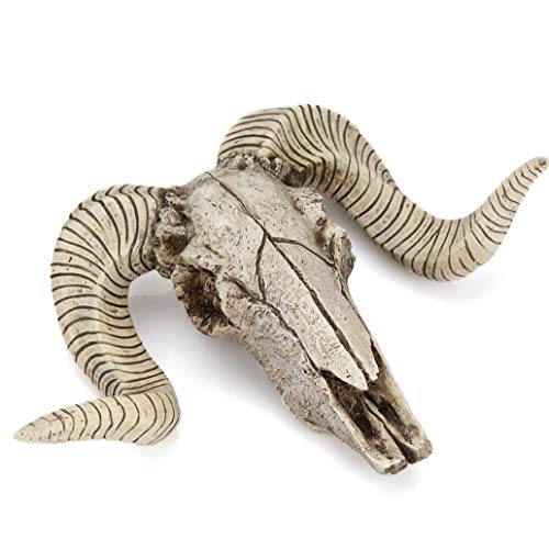 TYY-guang 1pc Longhorn Steer Cráneo montado en la Pared Que cuelga Cazadores gótica macabra decoración de Cuerno Largo de los cráneos Esqueletos Outdoorsmen Trofeo Estatua