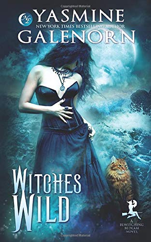 Witches Wild: Volume 4 (Bewitching Bedlam)
