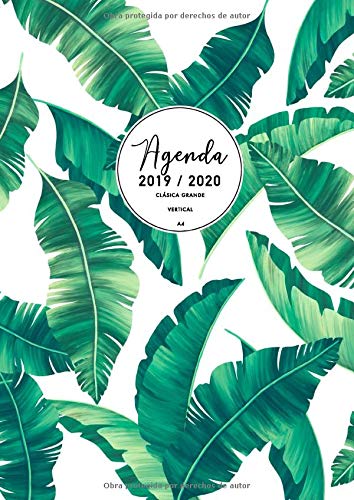 Agenda Clásica Grande 2019 2020: Agenda 2019/2020 Semana Vista Vertical | Agenda 17 Meses | Agosto 2019 - Diciembre 2020 | Agenda en español | Tamaño A4 | Hojas de palma