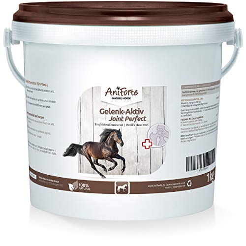 AniForte Garra del diablo en polvo para caballos 1kg - producto 100% natural para articulaciones, tendones y ligamentos. Ayuda a la movilidad y a la función articular, de alta aceptación