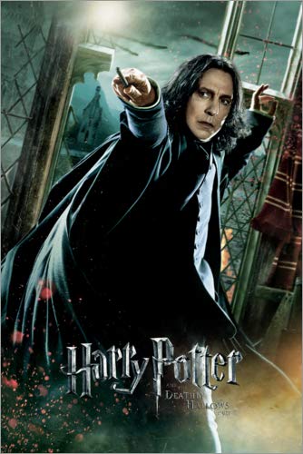 Cuadro de PVC 60 x 90 cm: The Deathly Hallows II - Severus Snape Duel de Warner Bros. Entertainment GmbH