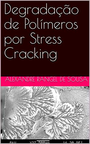 Degradação de Polímeros por Stress Cracking (Portuguese Edition)