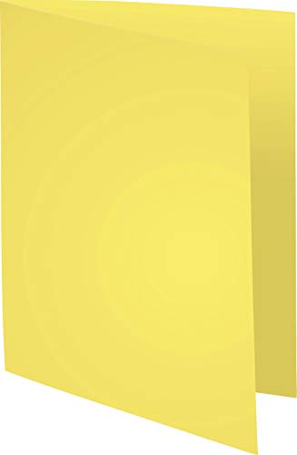 Exacompta 410005E - Lote de 100 Subcarpetas Forever® 250, Color Amarillo