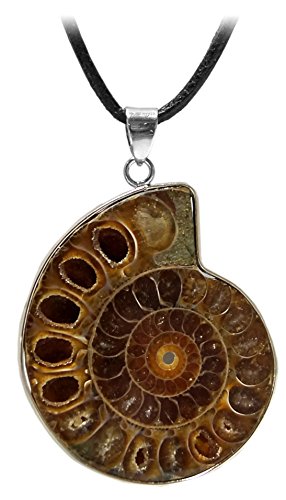 Kaltner Präsente – Regalo Idea – Cadena para Hombre y Mujer de piel con Ammonit colgante como verdadera cretáceo