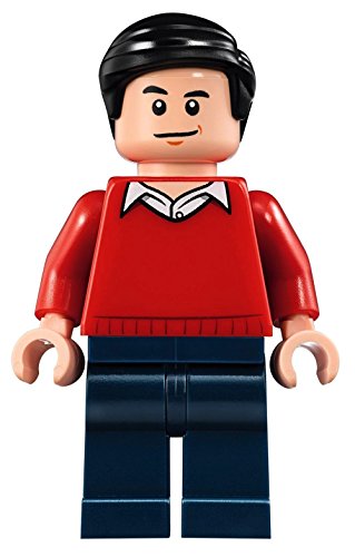LEGO Super Heroes Classic TV Series Batman Robin Minifigure - Dick Grayson (76052)