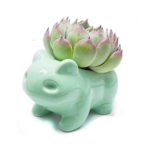 Maceta de Bricolaje Lindo Arte de cerámica macetas Arte Decorativo de cerámica florero Verde Maceta de Bricolaje Lindo Arte de cerámica macetas Arte Decorativo de cerámica florero Verde