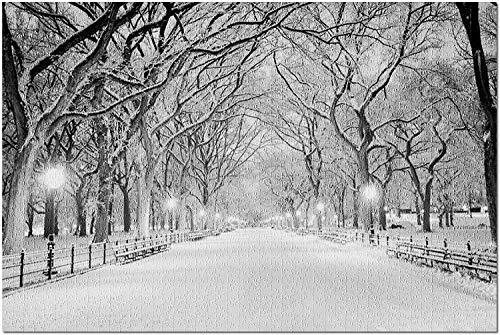 Nueva York, Nueva York - Central Park cubierto de nieve al amanecer 9033840 (Rompecabezas premium de 1000 piezas para adultos y familias, 19 x 27)
