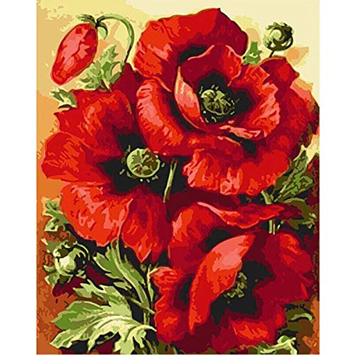 Pintar por Numeros Kits gran flor roja Adultos Niños para DIY con Pinceles y Pinturas Decoraciones para el Hogar 40 X 50 cm Sin Marco