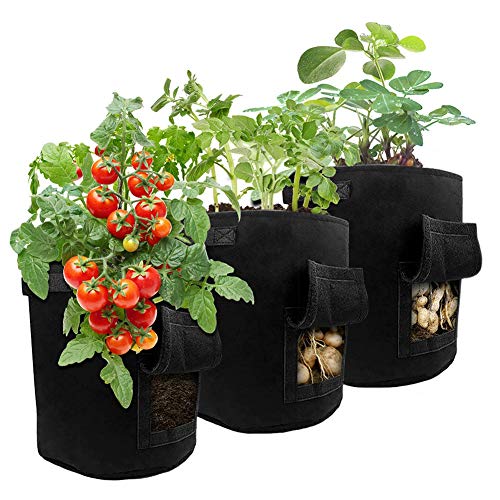 PLUS PO Black,25x30cm PLUS PO Black,25x30cm
