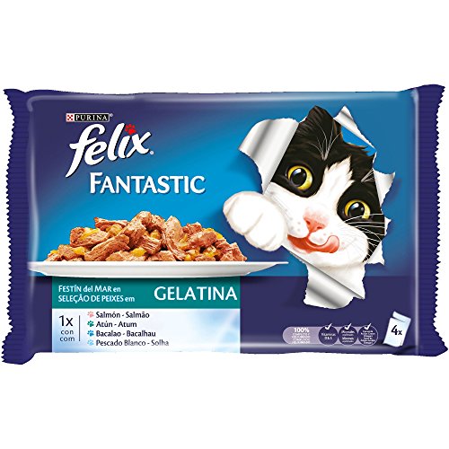 Purina Felix Fantastic Festín Gelatina comida para gatos Selección Surtido de Pescados 10 x [4 x 100 g]