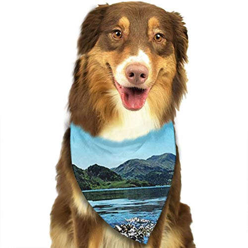 RAHJK Bandana para Perro, Pañuelos para Perro, Reversibles, Ajustables, Triangulares, Bufandas para Mascotas y Gatos Distrito 4 del Lago Ullswater