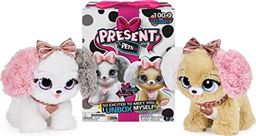 Spin Master- Present Pets - Fancy Pup (6051197) Spin Master- Present Pets - Fancy Pup (6051197)