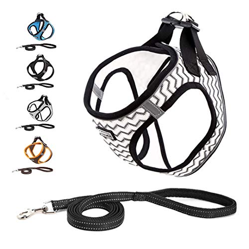 Suredoo Arnés Perro Pequeños Arnés Antitirones Reflectante Cómodo Transpirable Arneses Chaleco para Cachorros, Perros Pequeños y Gatos (XS, Blanco) Suredoo Arnés Perro Pequeños Arnés Antitirones Reflectante Cómodo Transpirable Arneses Chaleco para Cachorros, Perros Pequeños y Gatos (XS, Blanco)