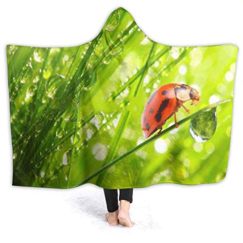 695 Manta de felpa con capucha para llevar, diseño de mariquita en una hierba húmeda, suave y cálida manta de forro polar para sofá, cama, viaje, 127 x 101 cm