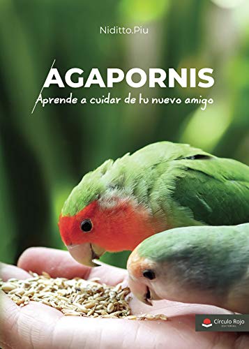 Agapornis. Aprende a cuidar de tu nuevo amigo