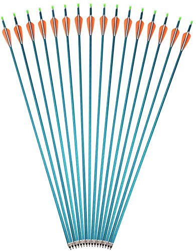AMEYXGS Tirocon Arco Flechas de Aluminio 31 Pulgadas Flechas de Arco de Caza y Flechas de Práctica de Puntería Spine 500 con Punta de Flecha Enroscada para Arco Compuesto y Arco Recurvo (Azul, 6 pcs)