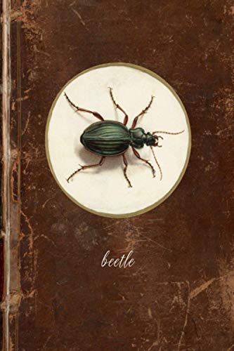 beetle: 6x9 beautiful insect & bug theme blank lined journal planner notebook