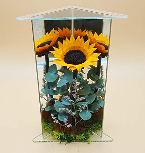 Girasol preservado Extra. Columna de Espejos con Girasol preservado, Decorado con Flores y Verdes preservados. Altura 22 cm. Hecho en España.