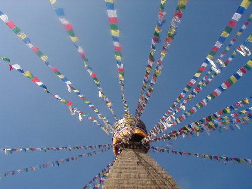 Grandes banderas tibetanas de oración Fairtrade en Long Cadena - 25 banderas - longitud total de cadena aproximadamente 680cm, cada uno mide aproximadamente 25 cm de bandera de 16cm