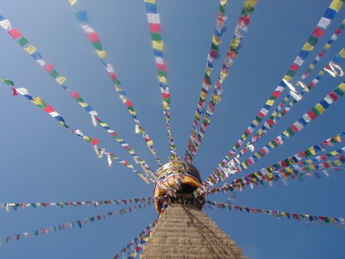 Grandes banderas tibetanas de oración Fairtrade en Long Cadena - 25 banderas - longitud total de cadena aproximadamente 680cm, cada uno mide aproximadamente 25 cm de bandera de 16cm Grandes banderas tibetanas de oración Fairtrade en Long Cadena - 25 banderas - longitud total de cadena aproximadamente 680cm, cada uno mide aproximadamente 25 cm de bandera de 16cm