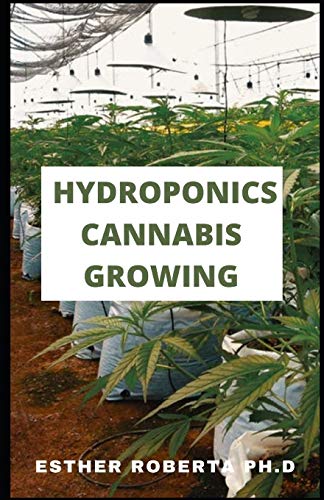 HYDROPONICS CANNABIS GROWING: THIS COMPLETE GUIDE IS ALL ABOUT HOW CANNABIS CAN BE GROW INDOOR ALL THE PROCESSING TO START ,HOW TO MAINTAIN AND MANGE IT