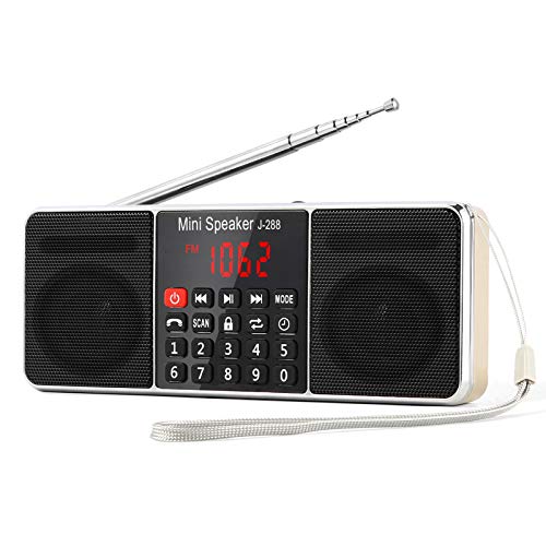 L-288 Radio portátil FM Am con Altavoz estéreo Bluetooth, Temporizador de Apagado, estación de Bloqueo, Tarjeta USB y TF y Reproductor de MP3 AUX, por PRUNUS(Oro)