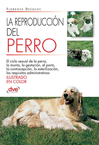 La reproducción del Perro La reproducción del Perro
