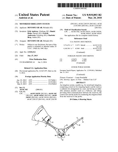 Motorized irrigation system: United States Patent 9919093 (English Edition)