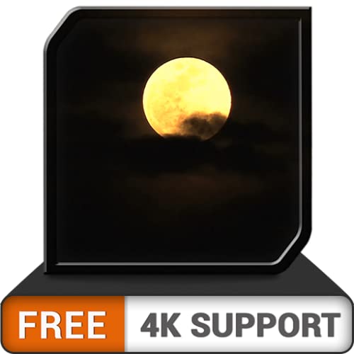 Noche de luna romántica gratis en alta definición: disfrute de sueños románticos a la luz de la luna con su pareja en su televisor HDR 4K, TV 8K y dispositivos de fuego como fondo de pantalla y tema p Noche de luna romántica gratis en alta definición: disfrute de sueños románticos a la luz de la luna con su pareja en su televisor HDR 4K, TV 8K y dispositivos de fuego como fondo de pantalla y tema p