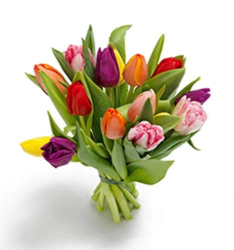 Ramo 15 tulipanes frescos de colores - Ramo de flores naturales a domicilio en 24h - Regalo San Valentín con dedicatoria